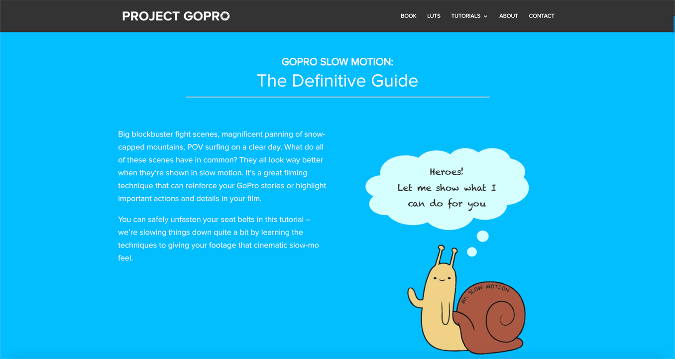 Project GoPro article schema example